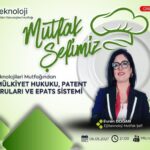 Fikri Mülkiyet Hukuku, Patent Başvuruları ve EPATS Sistemi